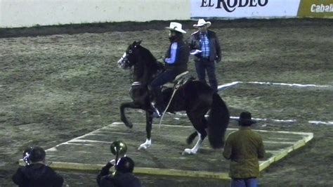 kabayo|videos de caballos bailadores 2016.